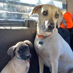 Lori Daigle - @lori.daigle - Instagram