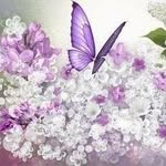 Lori M Daigle - @loridaigle - Instagram