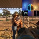 Lori Davenport - @coachloridanette - Instagram