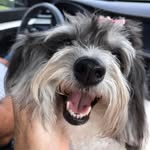 Lori Smith Dart - @loridart - Instagram