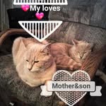 lori dearth - @lori.dearth - Instagram