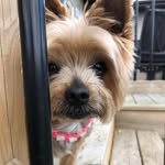 Lori Gardner Dearman - @loridearman24 - Instagram