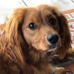 Lori Deardorff Marquette - @lovingthepines - Instagram