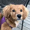 lorideardorffmarq - @lorideardorffmarq - TikTok