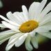 Lori DeFrain-Proctor - Facebook