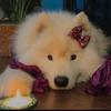 lori_b_degeorge - @lori_b_degeorge - TikTok