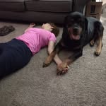 Lori degeorge - @degeorgelori - Instagram