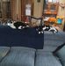 Lorrie DeHaven - Facebook