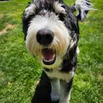 Lori Deming Paiva - @loripaiva1230 - Instagram