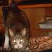 Lori Deuel - Facebook