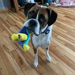 Lori Rucks Deutsch - @lori.rucks - Instagram