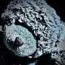loris deutschler - @lorisdeutschler - TikTok
