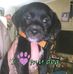 Lori Devine - Facebook