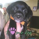 Lori Devine - @lori.devine.520 - Instagram