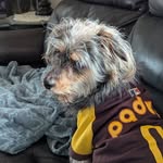 Lori Dickson - @lodi92122 - Instagram