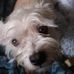 Lori Dickson - Facebook