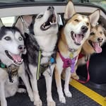 Lori Dickson- Richter - @lori.richter.71 - Instagram
