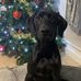 Lori Doak - Facebook