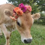 Lori Ray Dodson - @love_my_littles_ - Instagram