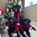Lori Dombrowski - Facebook