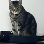 Lori Freeman Dombrowski - @lori0435 - Instagram