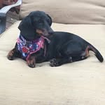 Lori Doughty - @cliffod - Instagram
