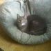 Lori Doughty - Facebook