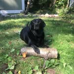 Lori Nash-Draheim - @lorinashdraheim123 - Instagram