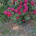 Lori Draper - Facebook