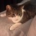 Lori Dunne - Facebook