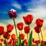 Lori Dupuis - @bijouandyou - Instagram