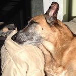 Lori Dupuis - @dupuis4848 - Instagram