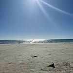 Lori Earl Walsh - @loriearlwalsh - Instagram