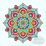 Lori Earle - @earlelori - Instagram