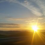 Lori Earls - @tigeress595 - Instagram
