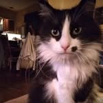Lori Edinger-Lewis - @edingerlewis - Instagram