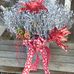 Lori Edinger-Lewis - Facebook