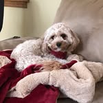 Lori Eisner - @lori.eisner - Instagram