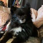 Lori Elam Burdette - @loriburdette1964 - Instagram