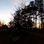LoriMassey Elam - @lori.elam.108 - Instagram