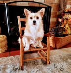 Laurie Eldred - Facebook