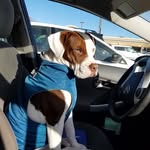 Lori Eldridge - @lori.eldridge409 - Instagram