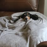 Lori Johnson Eldridge - @lorieldridge4 - Instagram