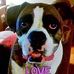 Lori Ellison - Facebook