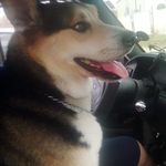 Lori Ellison - @lori.ellison.967 - Instagram