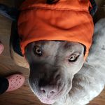 Lori Emory - @lori.emory9471 - Instagram