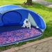 Lori Jones Epling - Facebook