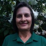 Lori Ernst - @lori.ernst.946 - Instagram