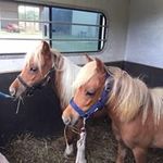 Lori Ernst - @lori.ernst - Instagram