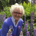 @loriernst40 - Instagram